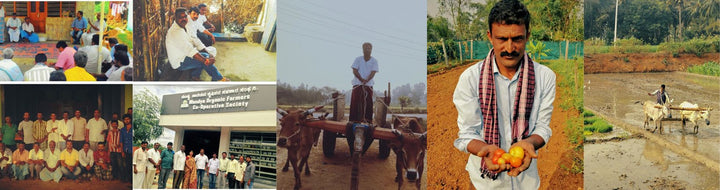 The Organic Mandya Story