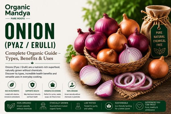 Organic Fresh Red Onion