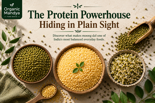 Moong dal protein per 100g nutrition guide facts