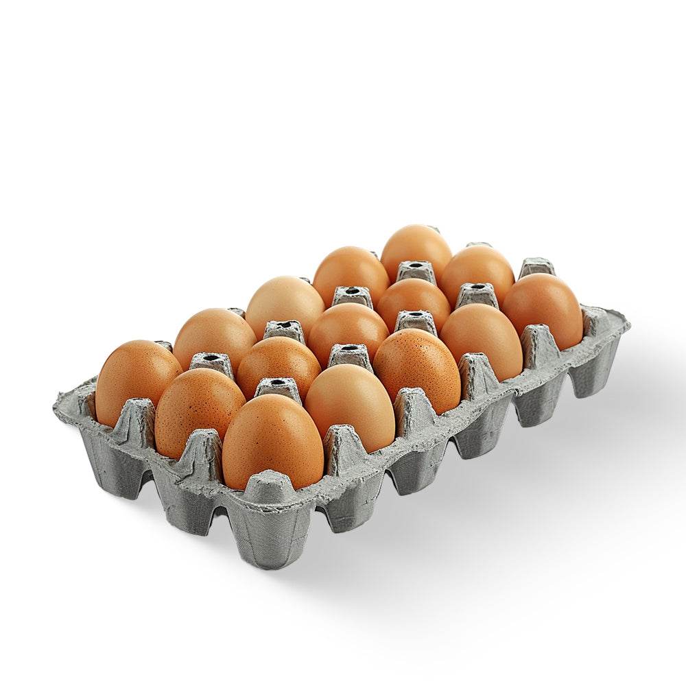 Eggs - Brown Only For (Bengaluru) Carton of brown eggs on a white background