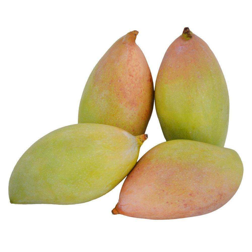 Organic Mango Totapuri Raw Organic Mango Totapuri Raw - Organic Mandya