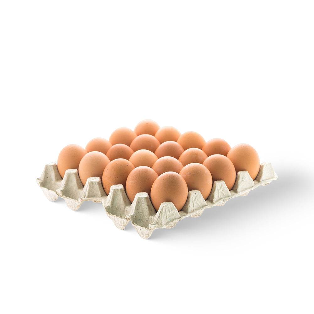 Eggs - Brown Only For (Bengaluru) Carton of brown eggs on a white background