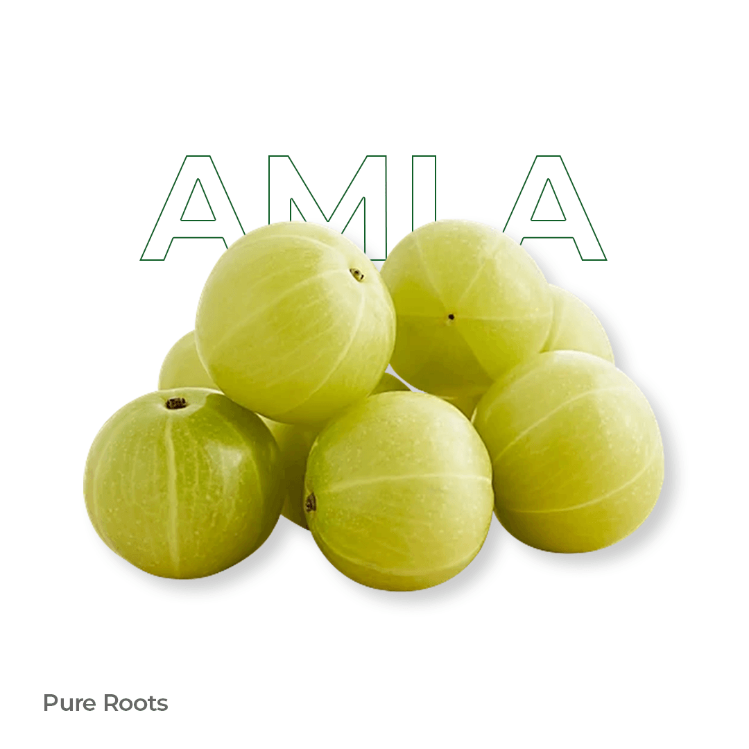 Organic Amla Organic Amla Organic Mandya