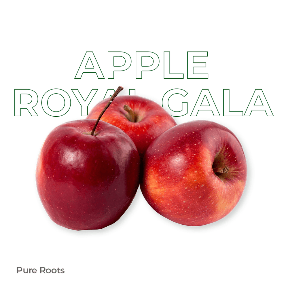 Organic Apple (Royal Gala) Organic Mandya