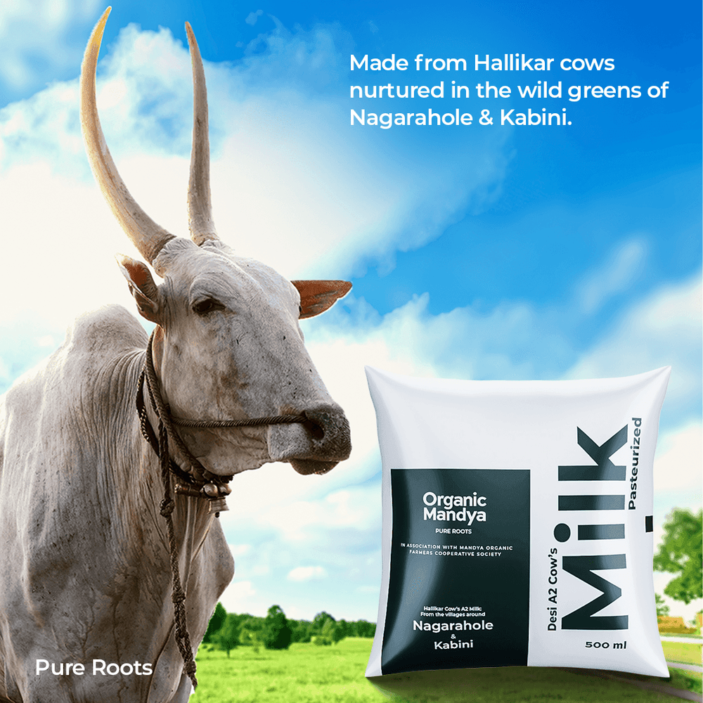 A2 Desi Cow Milk A2 Desi Cow Milk - Organic Mandya
