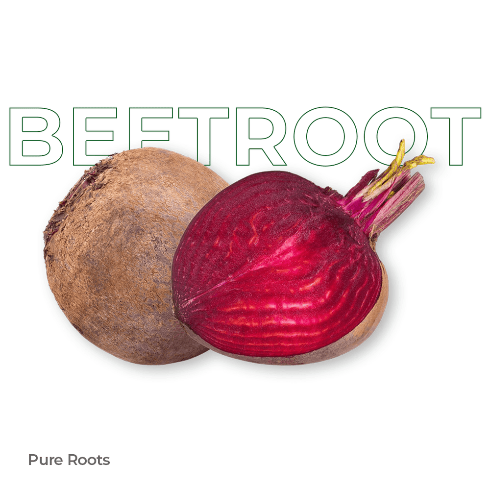 Organic Beetroot Organic Beetroot - Organic Mandya