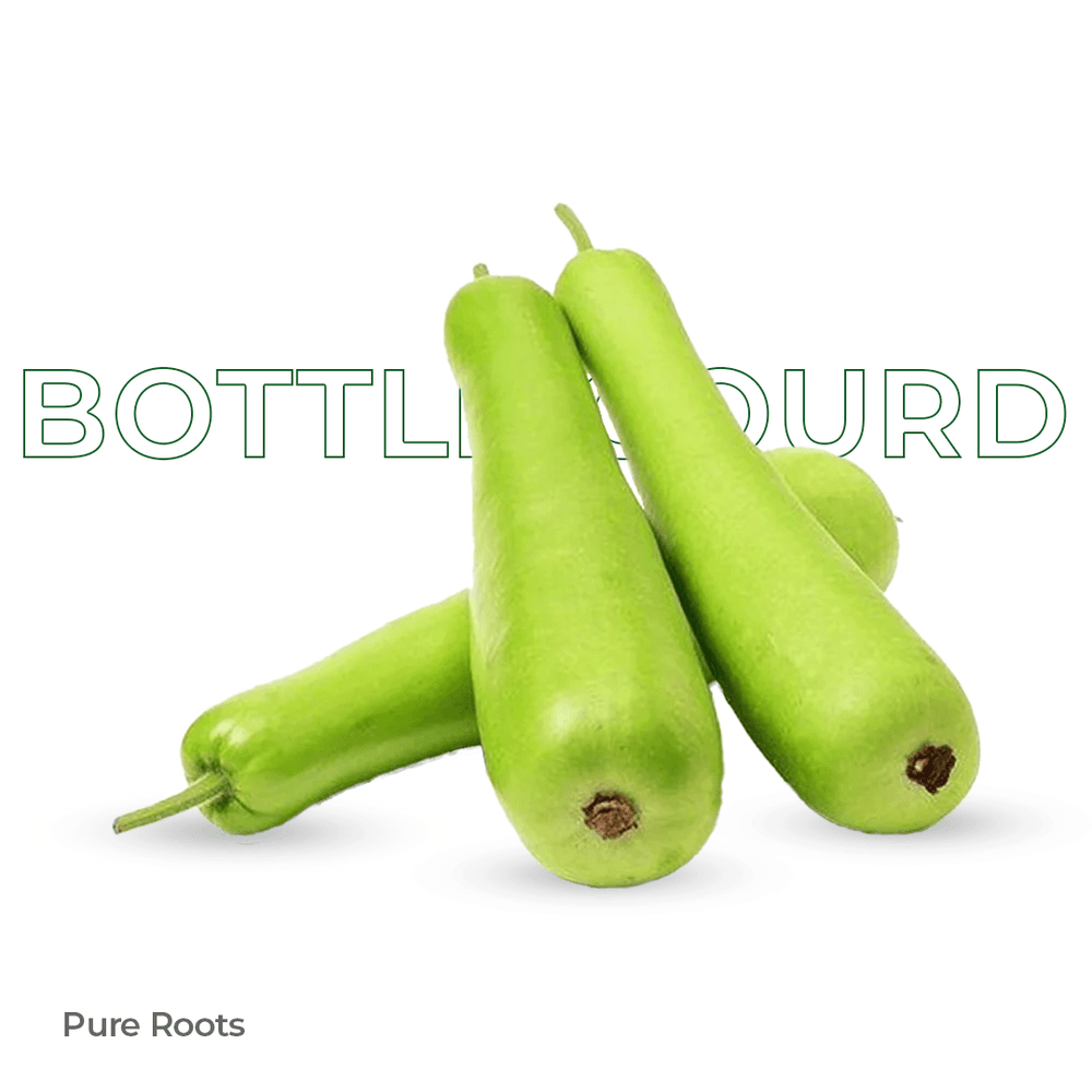 Organic Bottle Gourd Organic Bottle Gourd - Organic Mandya
