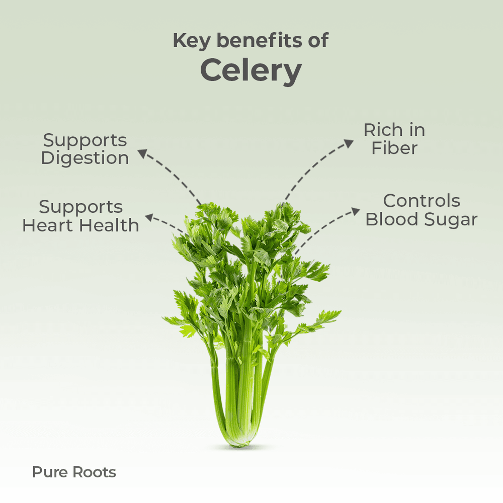 Organic Celery Organic Celery - Organic Mandya