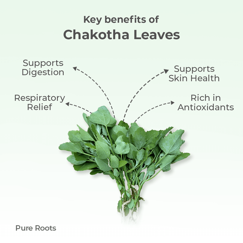 Organic Chakotha Leaves Organic Chakotha Leaves - Organic Mandya