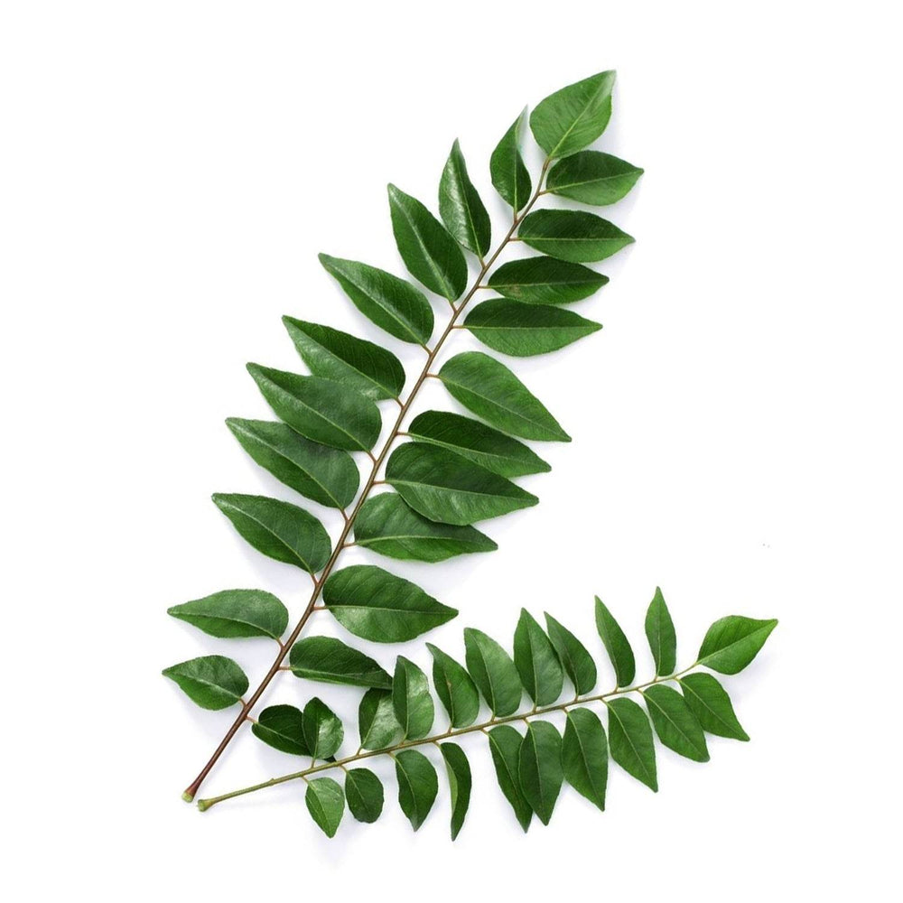 Organic Curry Leaves Organic Curry Leaves - Organic Mandya