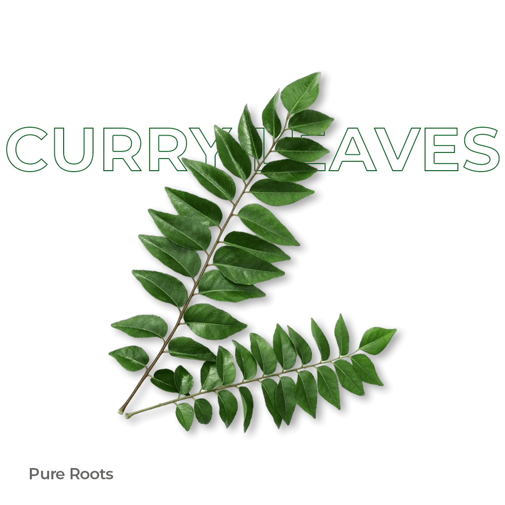 Organic Curry Leaves Organic Curry Leaves - Organic Mandya