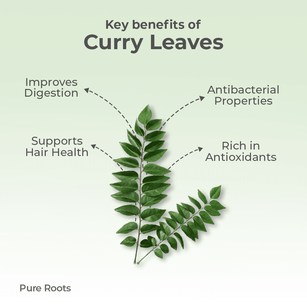 Organic Curry Leaves Organic Curry Leaves - Organic Mandya