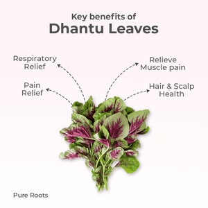 Organic Dhantu Leaves - Organic Mandya