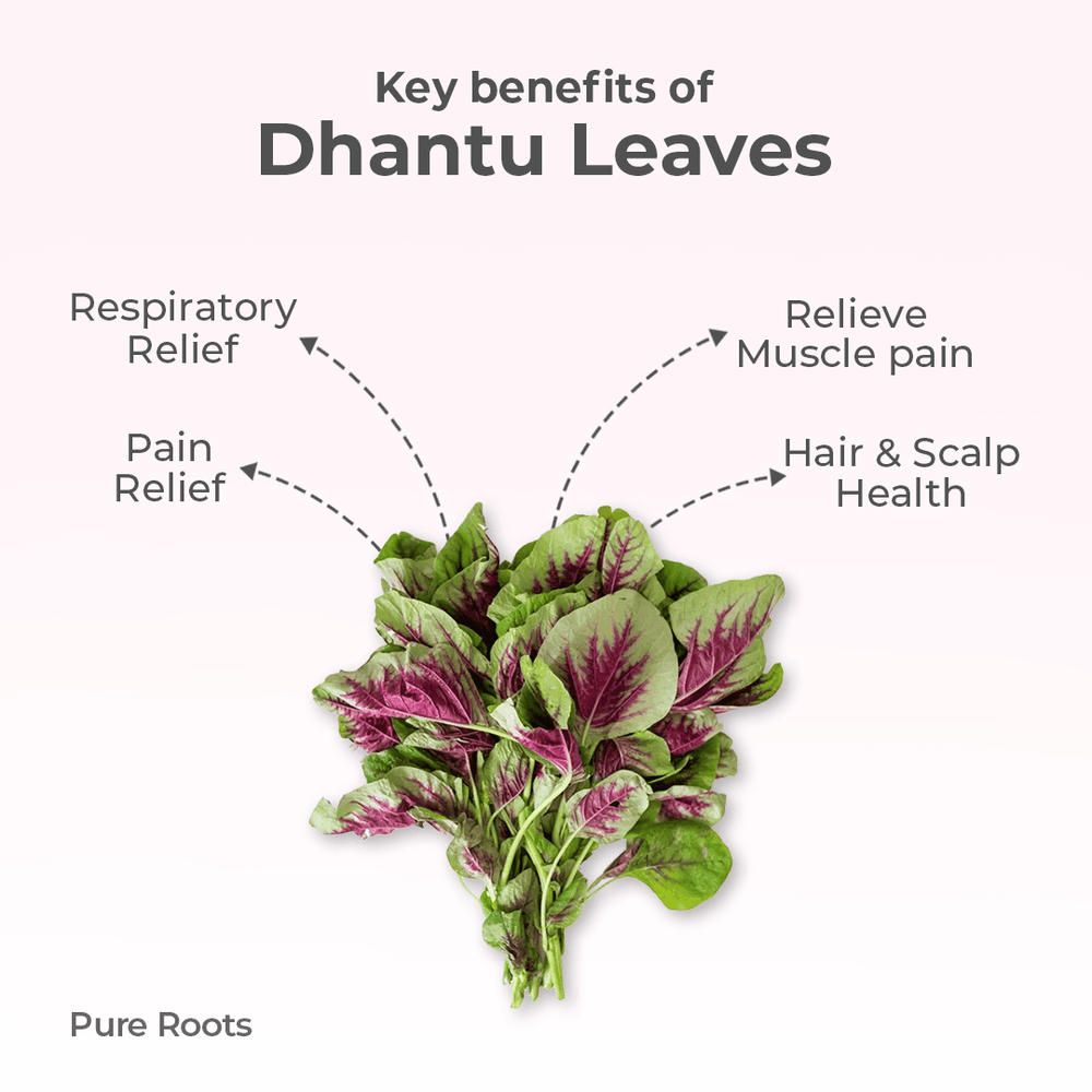 Organic Dhantu Leaves Organic Dhantu Leaves - Organic Mandya