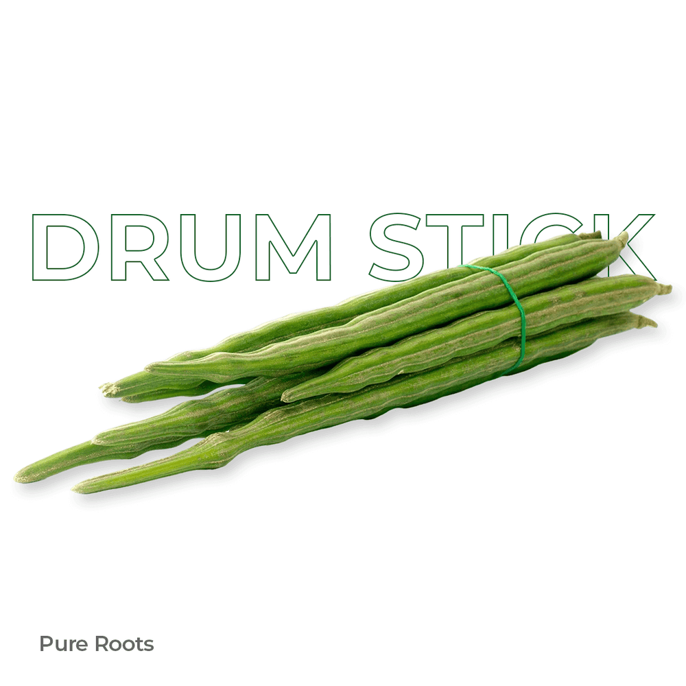 Organic Drumstick Green drum sticks tied with a rubber band on a white background, labeled DRUM STICK .