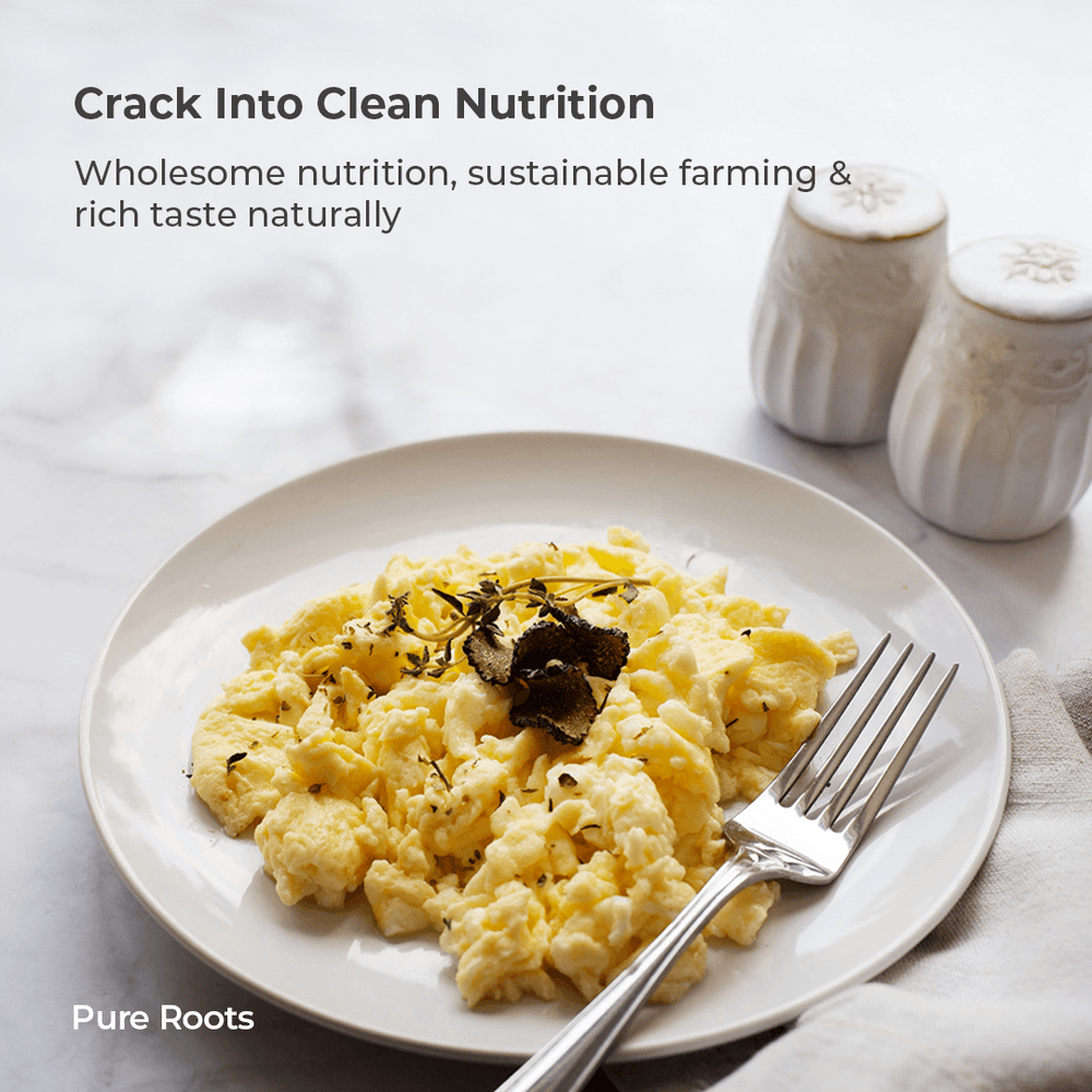 Eggs - Brown Only For (Bengaluru) Plate of scrambled eggs with truffle on a white plate with a fork, set against a light background with 'Pure Roots' branding.
