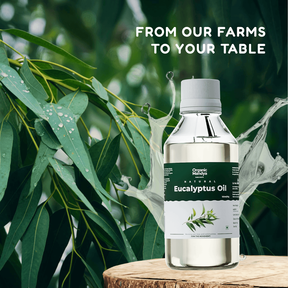 Eucalyptus Oil Eucalyptus oil source