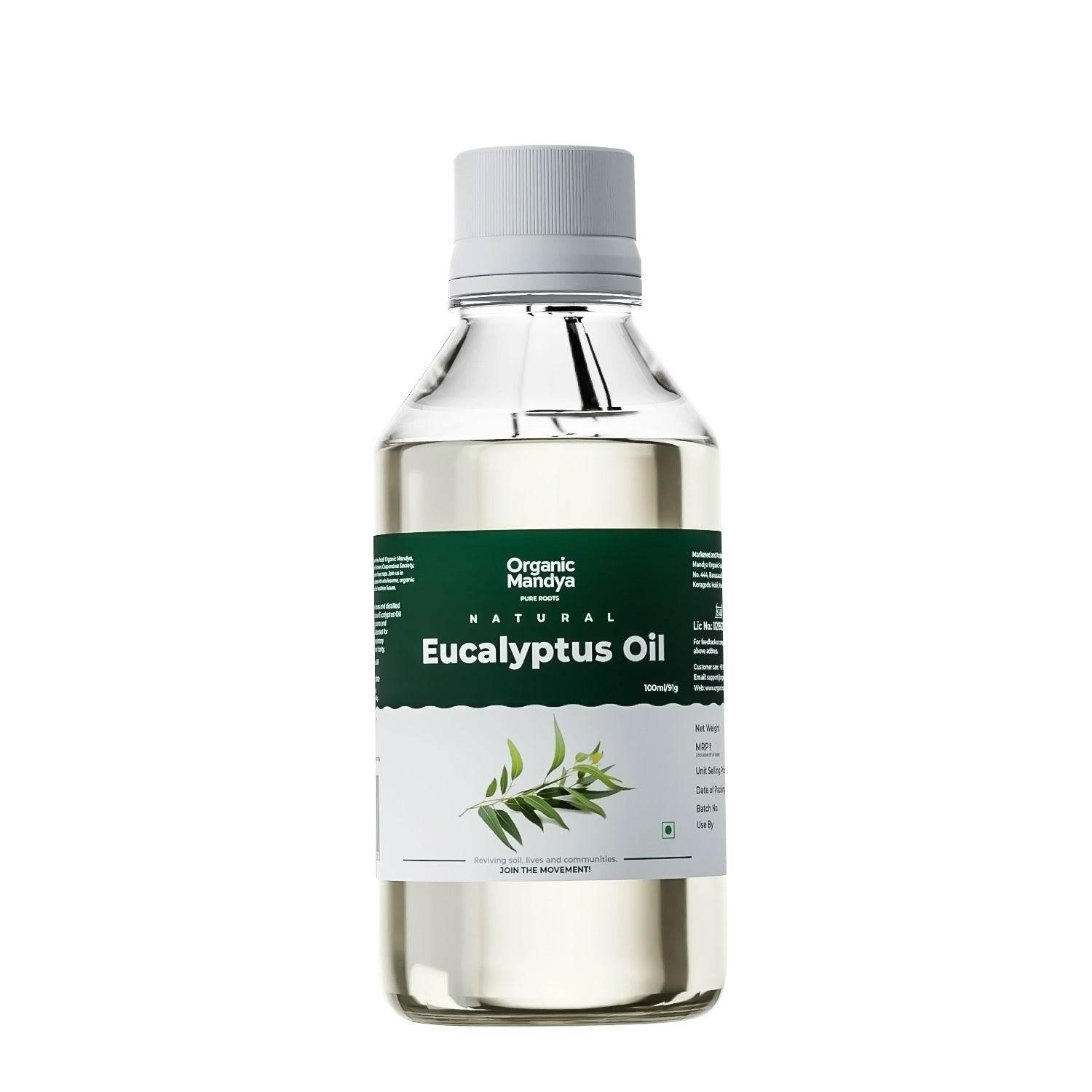 Eucalyptus Oil Eucalyptus Oil 100ml Front- Organic Mandya