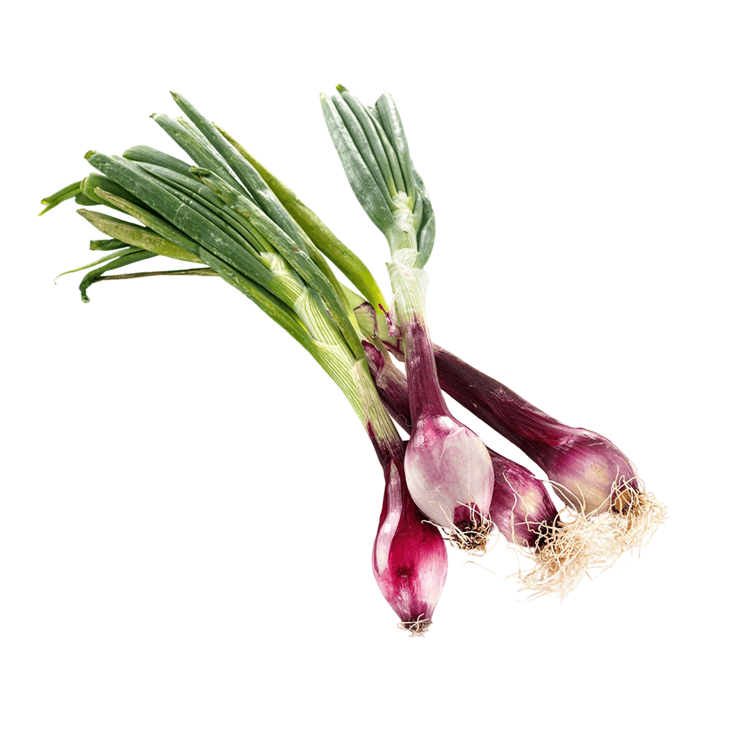 Organic Spring Onion - Organic Mandya