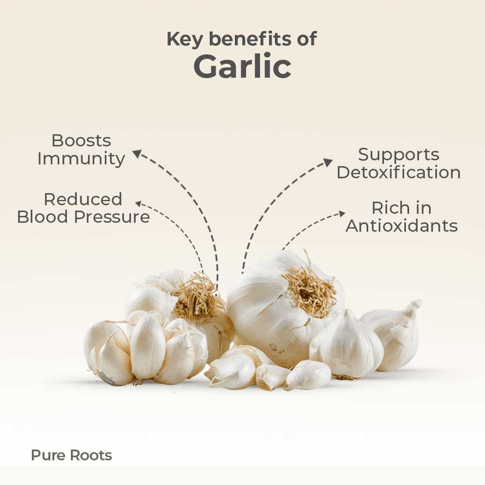 Organic Garlic Organic Garlic - Organic Mandya