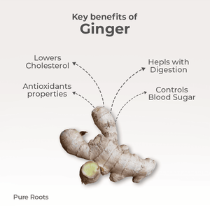 Organic Ginger - Organic Mandya