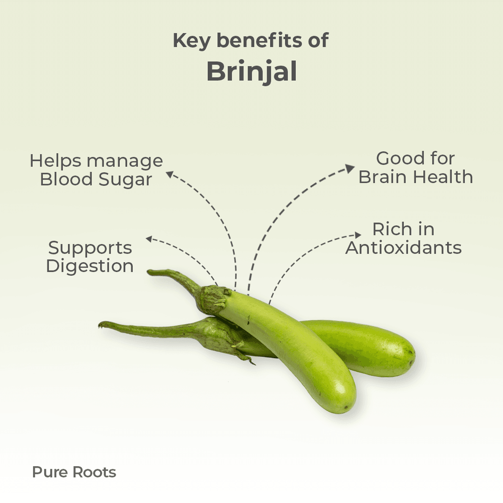 Organic Brinjal Organic Brinjal - Organic Mandya