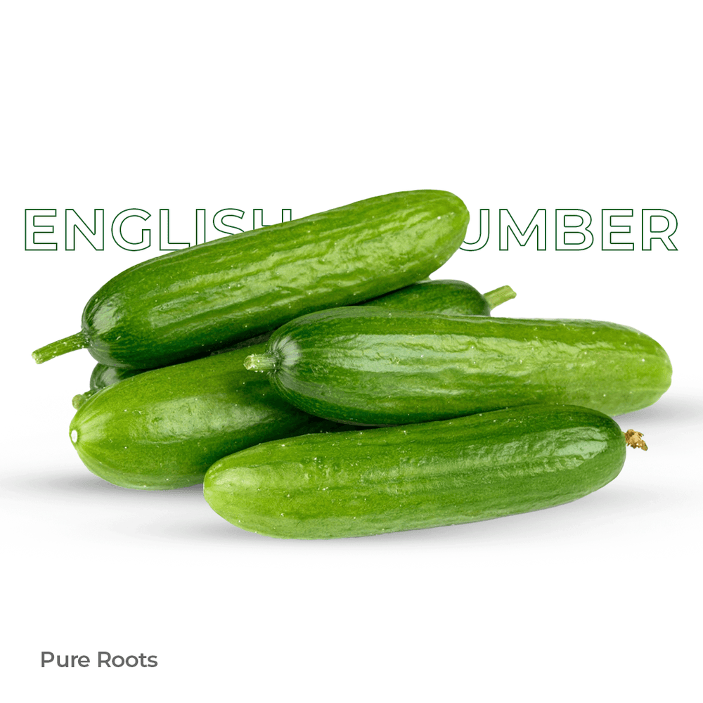 Organic English Cucumber Organic English Cucumber - Organic Mandya