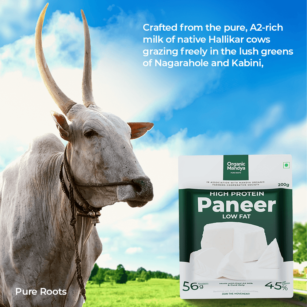 A2 Paneer High Protein - Low Fat Paneer Organic Mandya