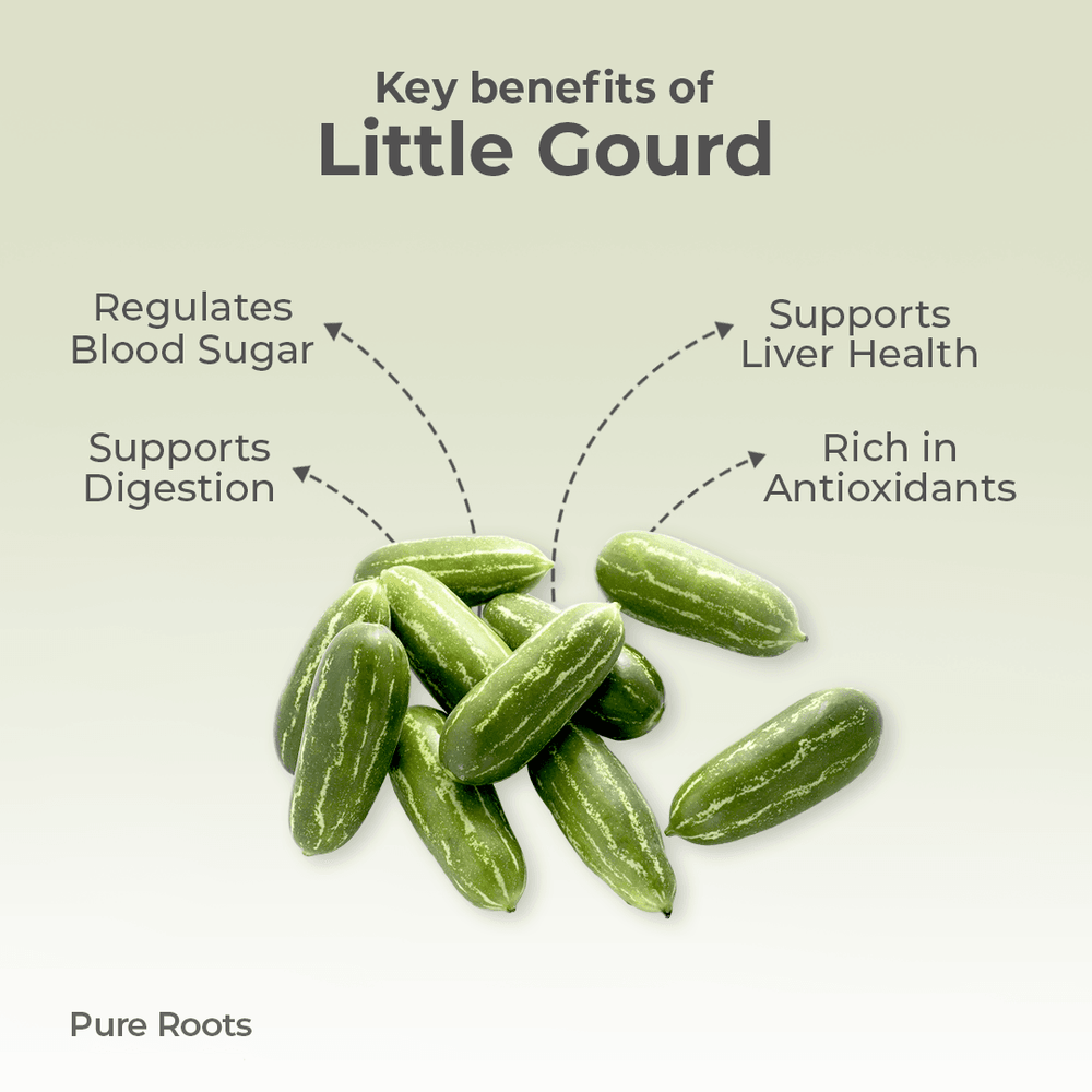 Organic Little Gourd Organic Little Gourd - Organic Mandya