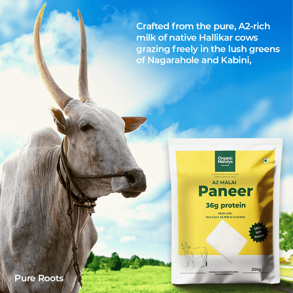 A2 Malai Paneer A2 Malai Paneer - Organic Mandya