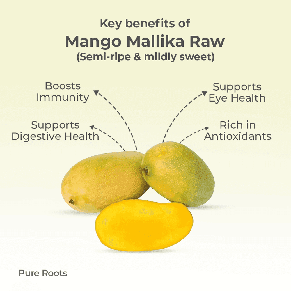 Organic Mango Mallika Raw (Semi-ripe & mildly sweet) Organic Mango Mallika Raw (Semi-ripe & mildly sweet) - Organic Mandya