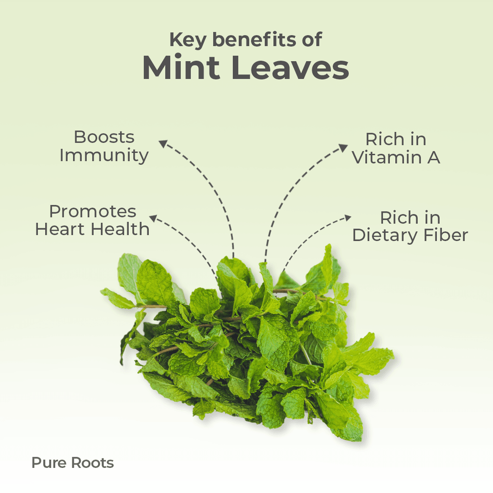 Organic Mint Leaves Organic Mint Leaves - Organic Mandya