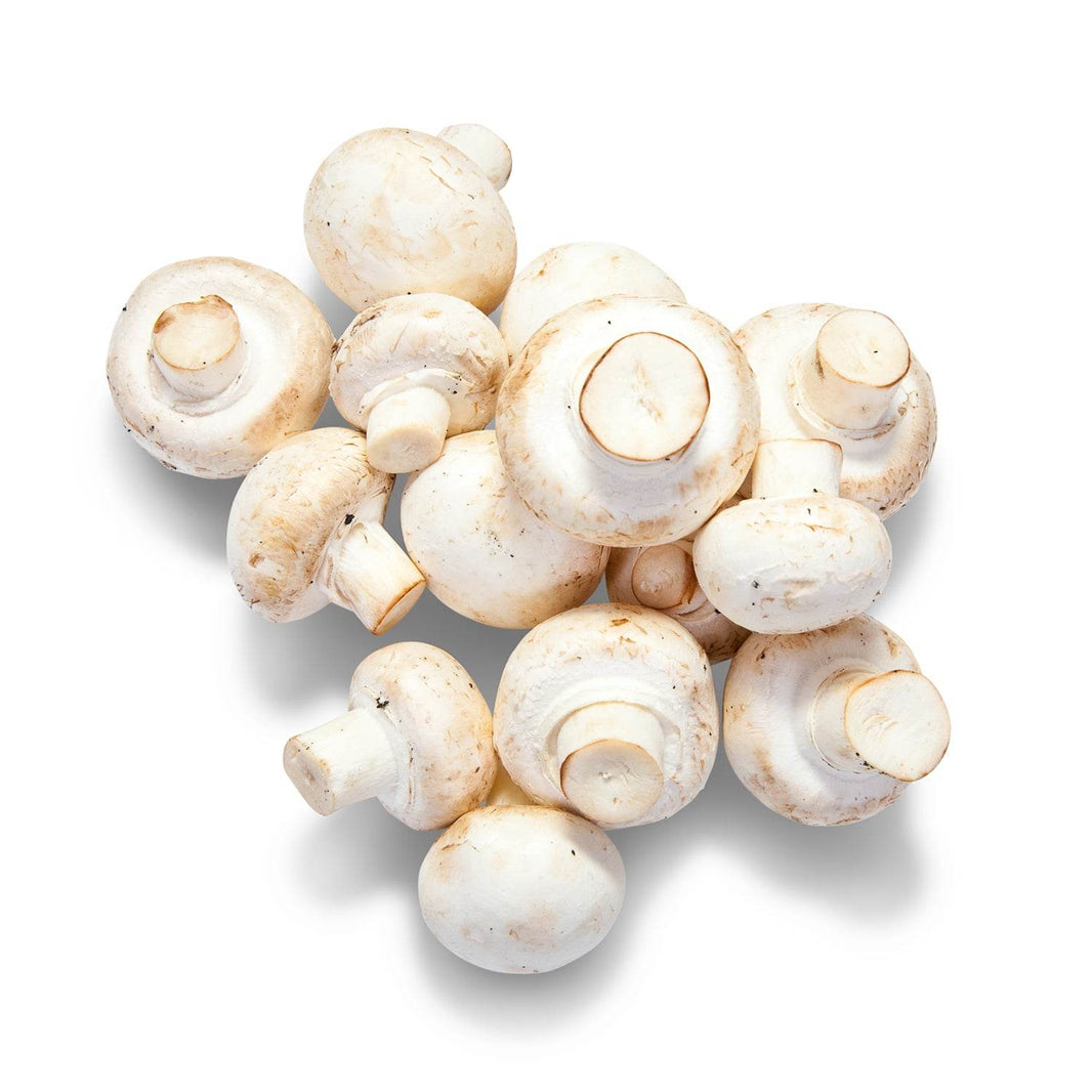 Organic Mushroom - Organic Mandya