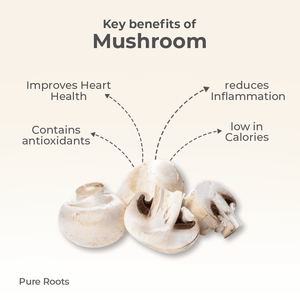 Organic Mushroom - Organic Mandya