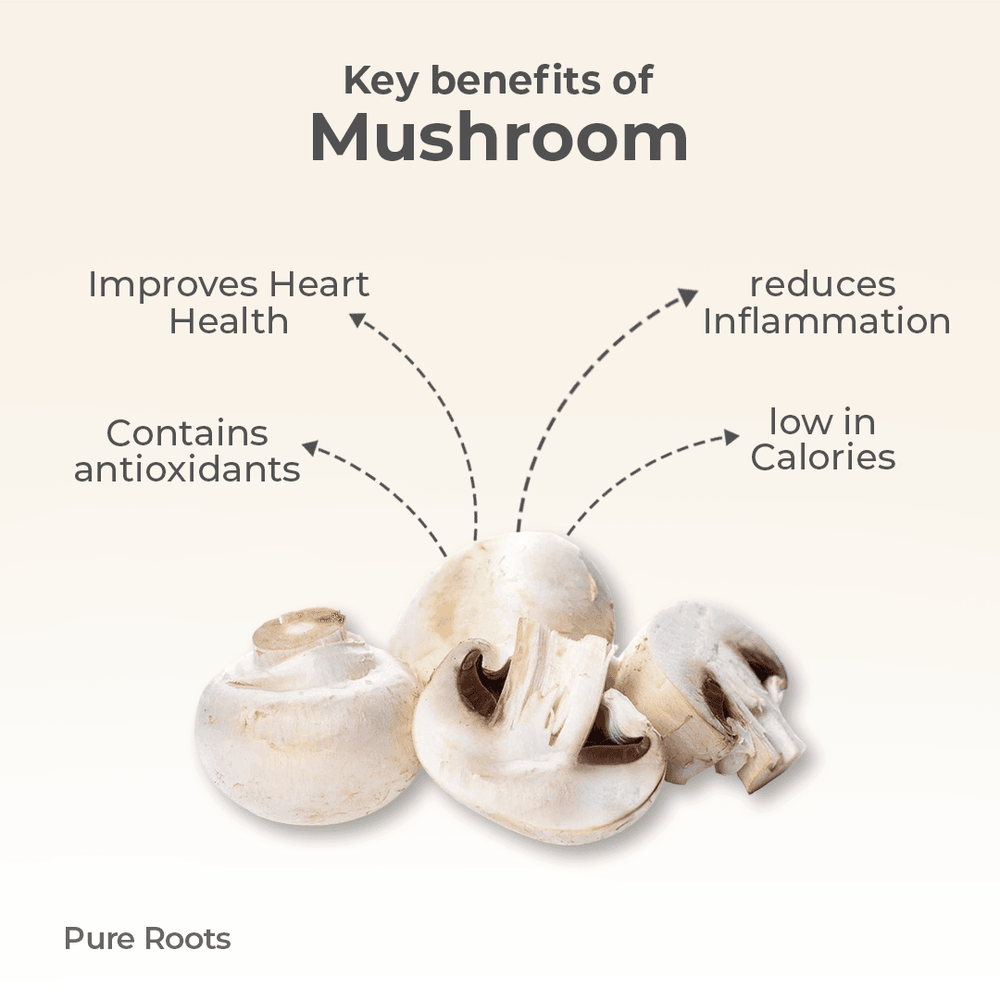 Organic Mushroom Organic Mushroom - Organic Mandya