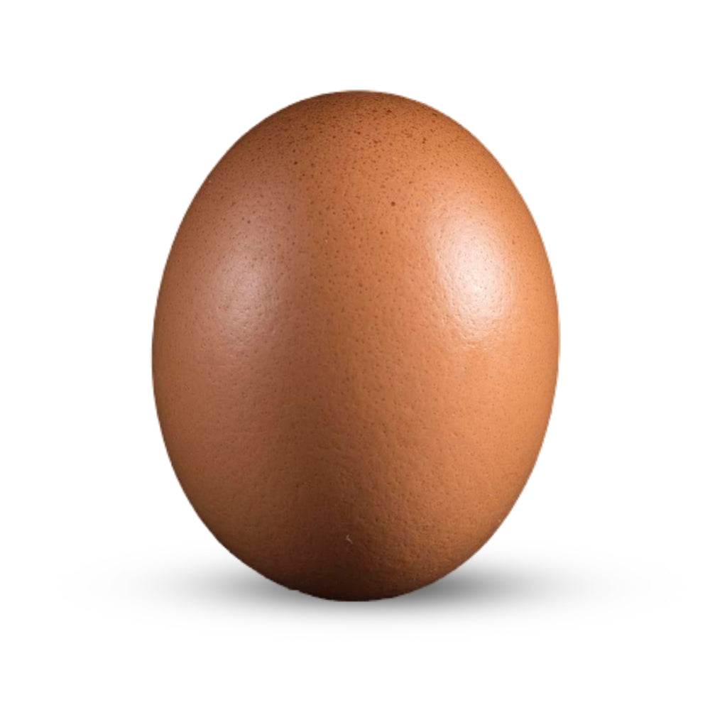 Eggs - Brown Only For (Bengaluru) Brown egg on a white background