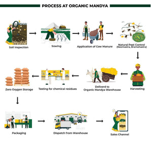 Organic Masoor Dal - Organic Mandya