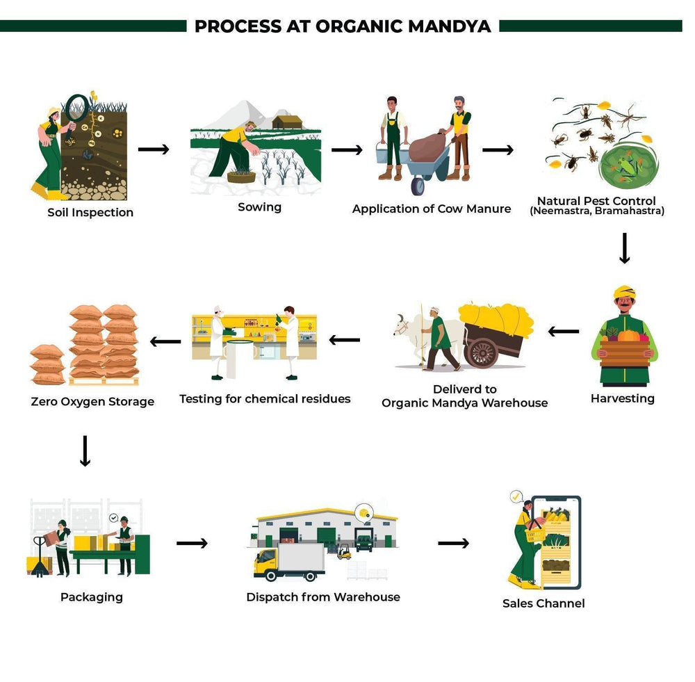 Organic Masoor Dal Organic Masoor Dal - Organic Mandya