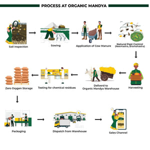 Organic Proso Millet (Baragu) - Organic Mandya
