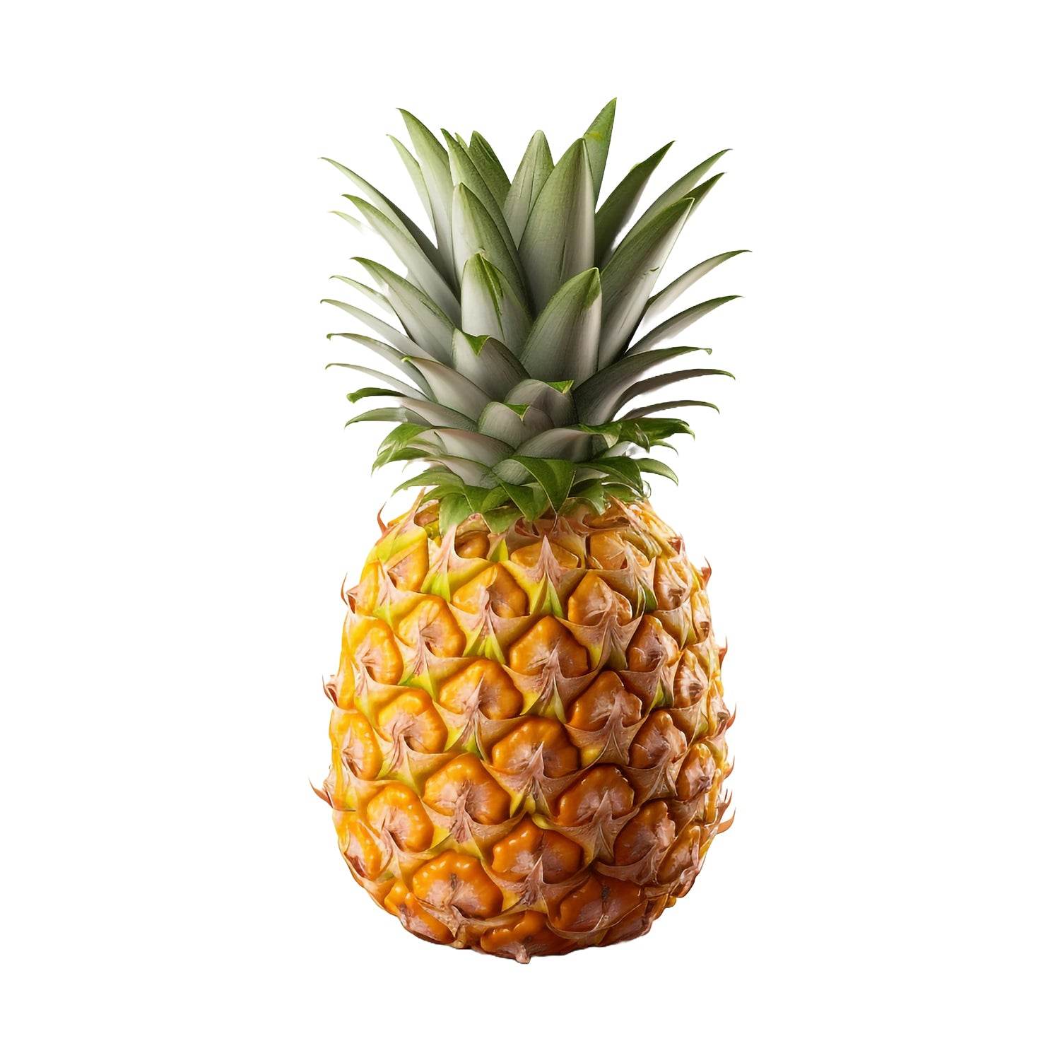 Organic Pineapple Organic Pineapple - Organic Mandya