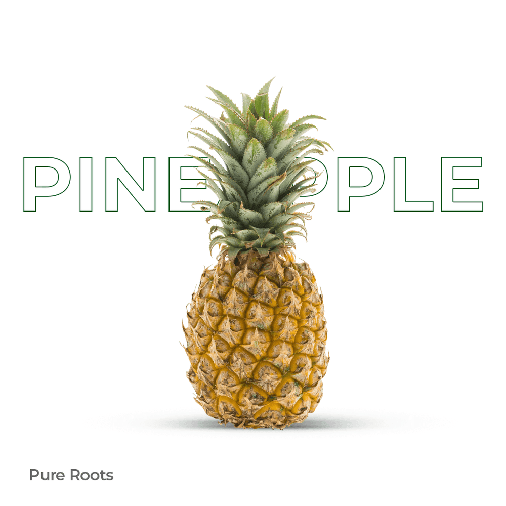 Organic Pineapple Organic Pineapple - Organic Mandya