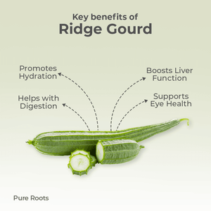 Organic Ridge Gourd - Organic Mandya