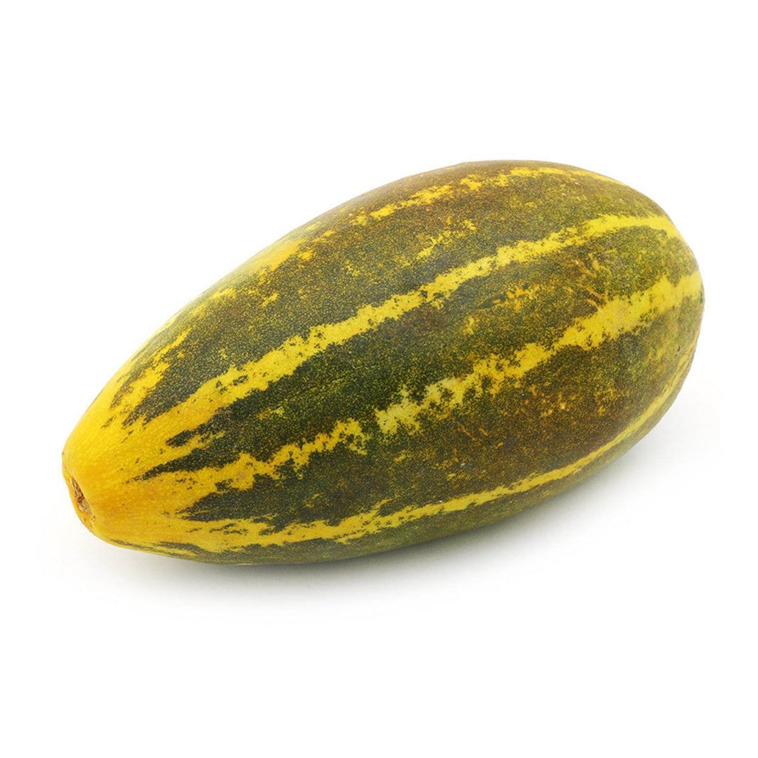 Organic Sambar Cucumber - Organic Mandya