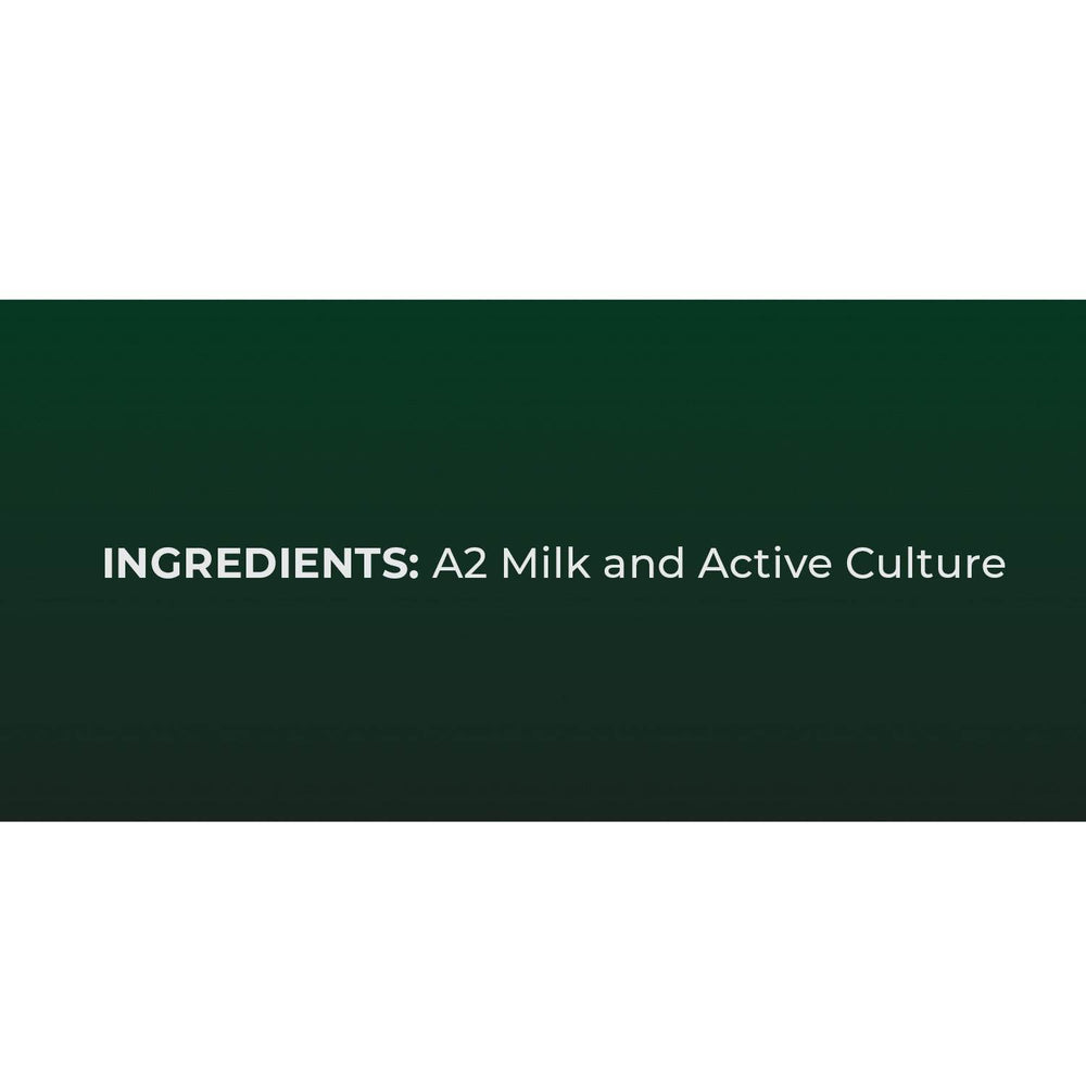 A2 Desi Set Curd Desi a2 set curd ingredients