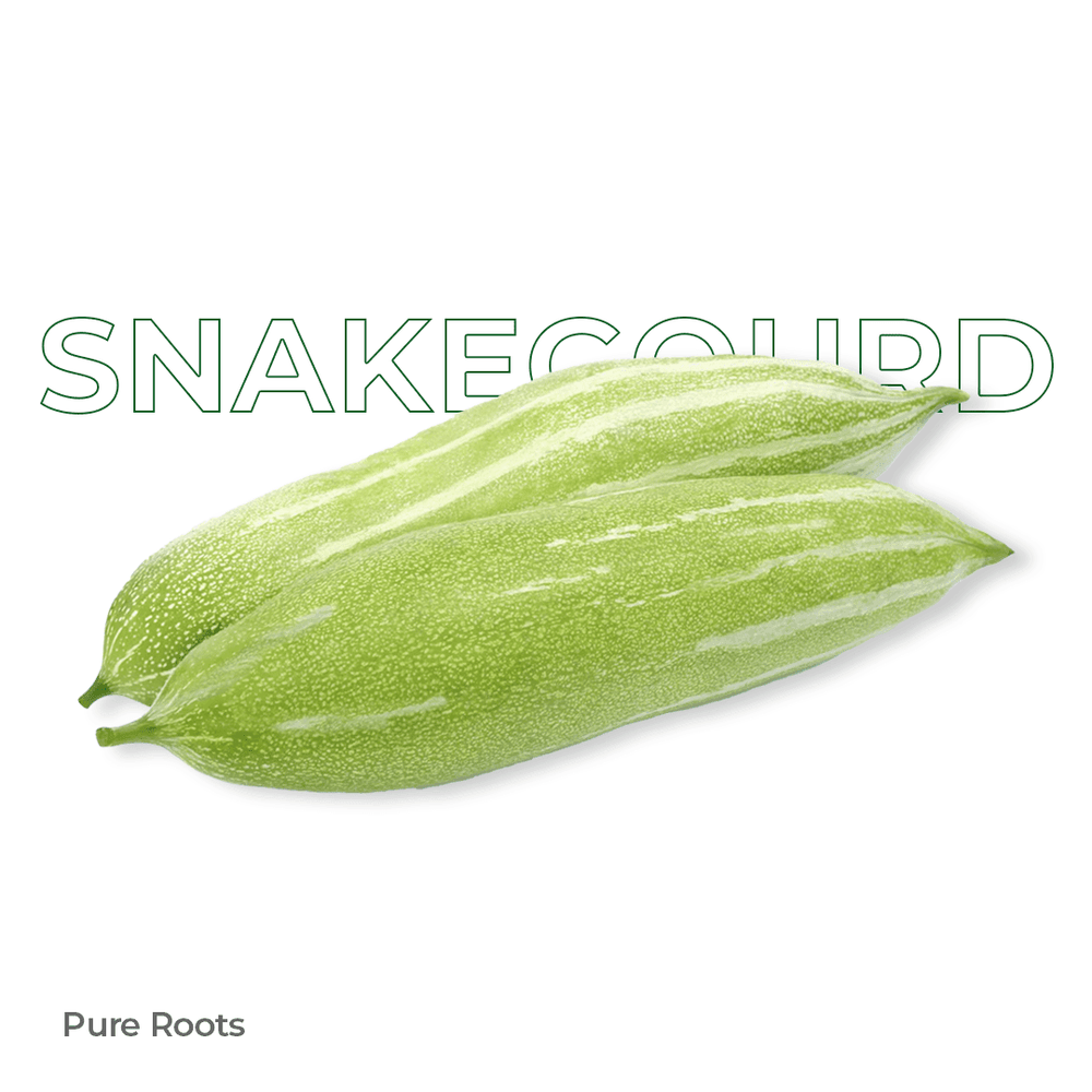 Organic Snakegourd Organic Snakegourd - Organic Mandya