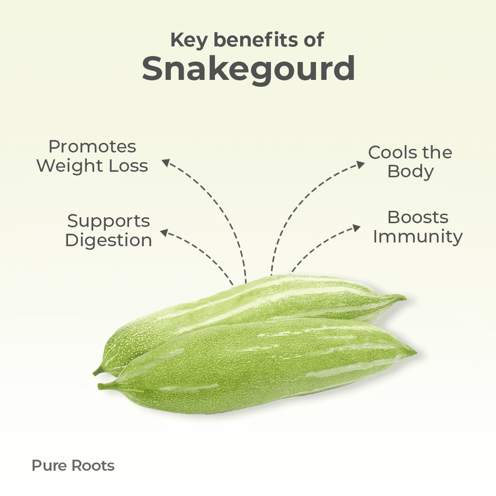 Organic Snakegourd Organic Snakegourd - Organic Mandya