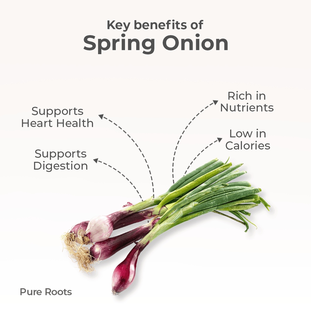 Organic Spring Onion Organic Spring Onion - Organic Mandya