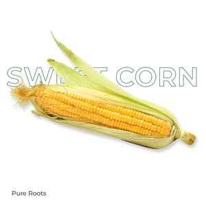 Organic Sweet Corn - Organic Mandya