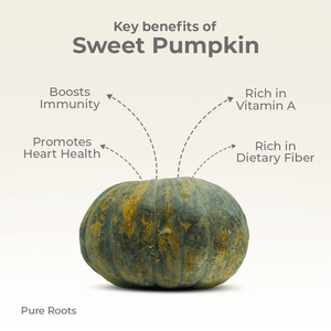 Organic Sweet Pumpkin - Organic Mandya