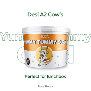 Set Curd for Lunch Box - Organic Mandya